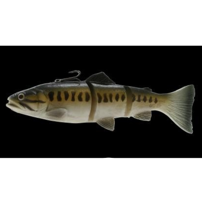 Savage 3d Line Thru Trout Swim Bait