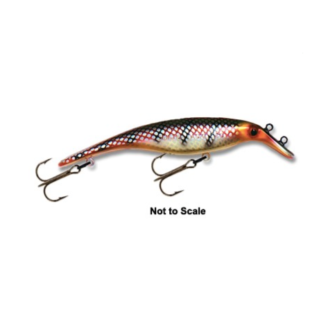 Believer 10 inch – The Tackle Shop